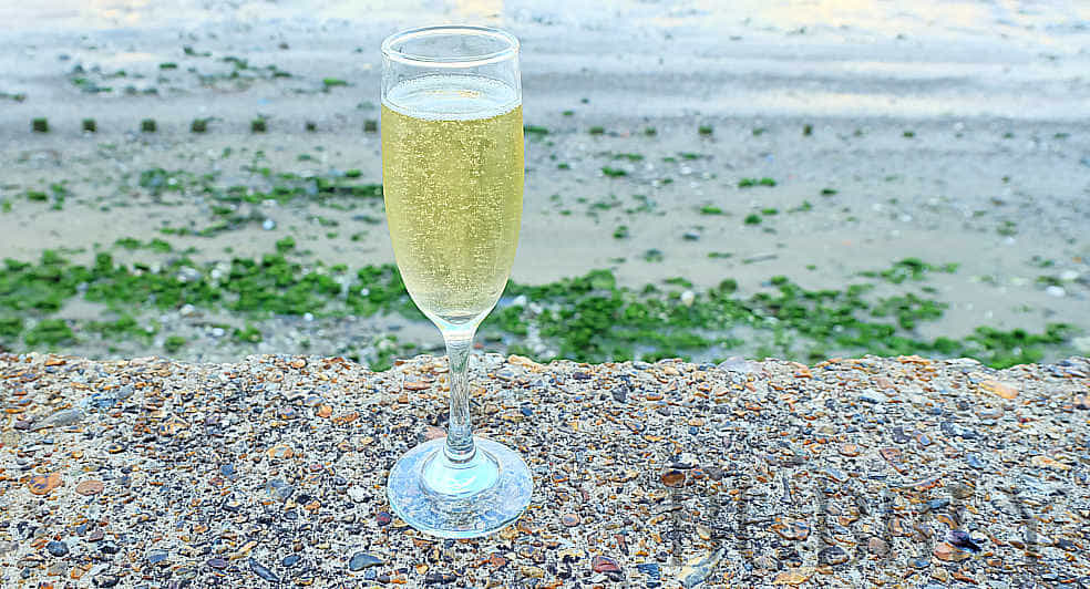 Champagne glass flute bubbly bubbles Champagne glass flute bubbly bubbles