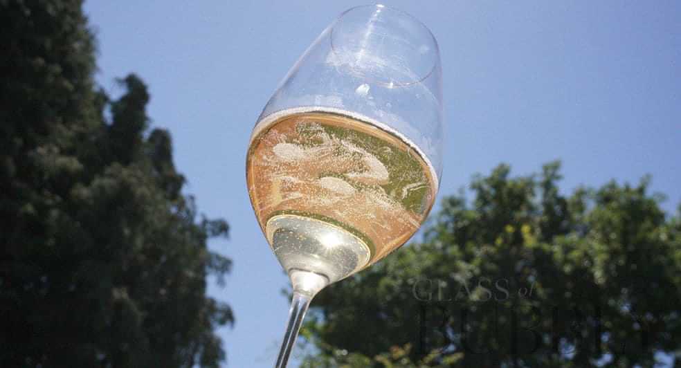 The Best Champagne Glasses & Sparkling Wine Glasses
