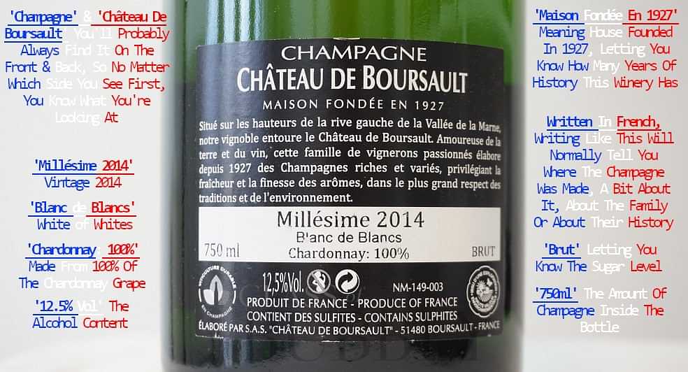 How to read a champagne label, step by step - Gourmet Hunters Blog