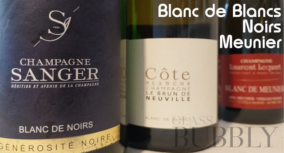 Champagne Blanc de Blancs vs Blancs de Noirs Glass Of Bubbly